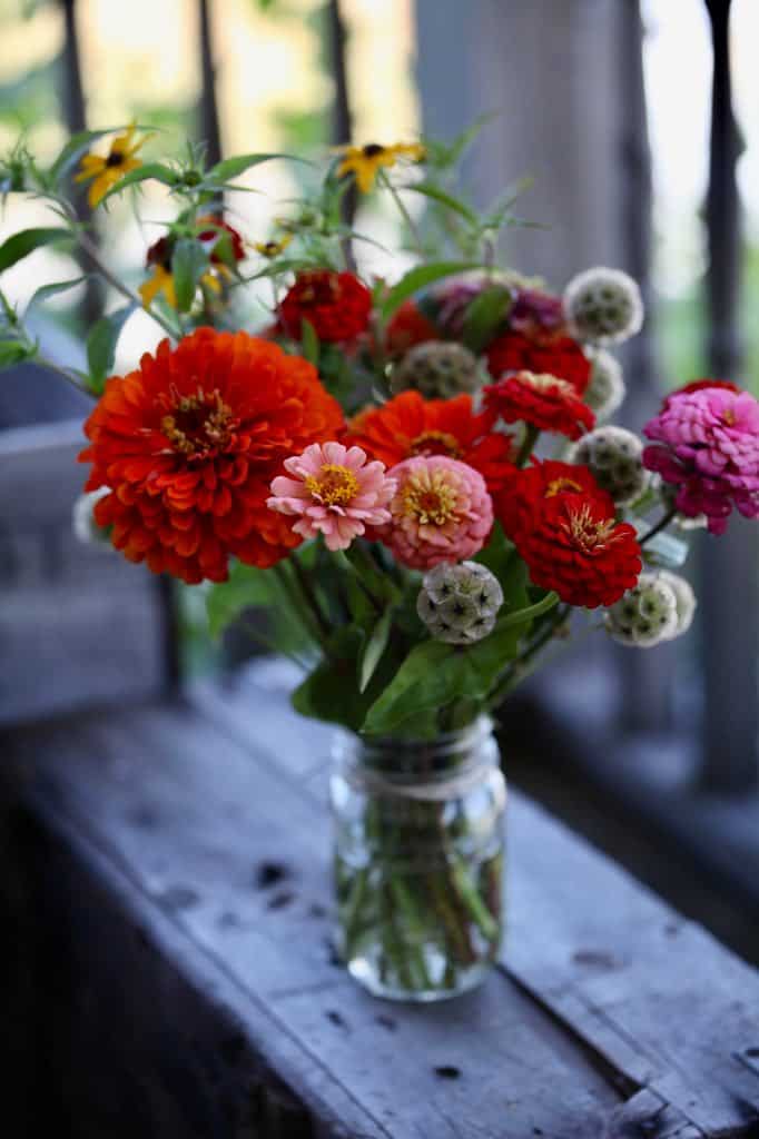 zinnias in a vase on a wooden crate, discussing tips on growing great zinnias