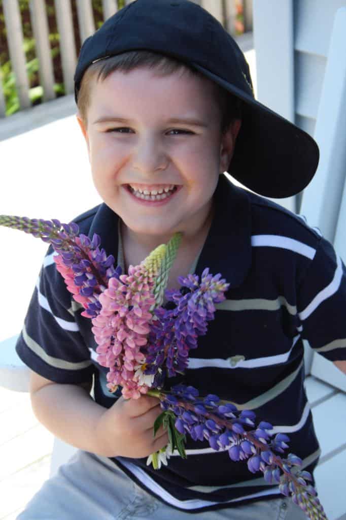  boy holding lupines
