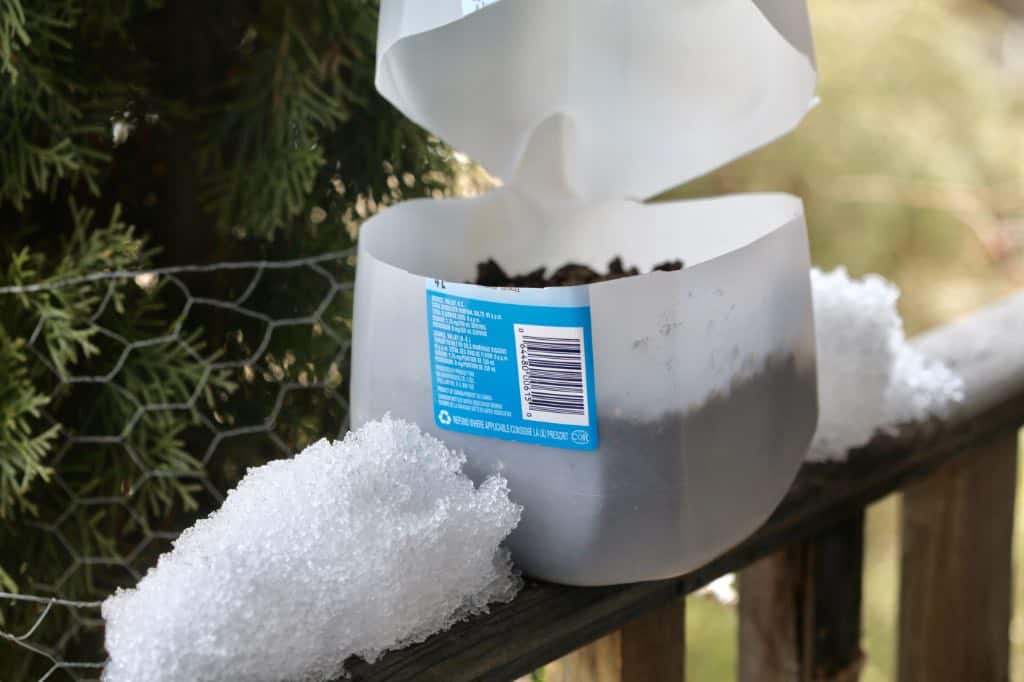 a milk jug on a wooden railing prepared for winter sowing