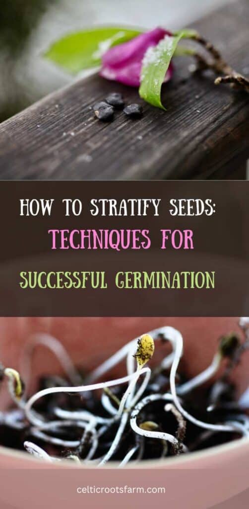 pinterest pin for blog post on how to stratify seeds